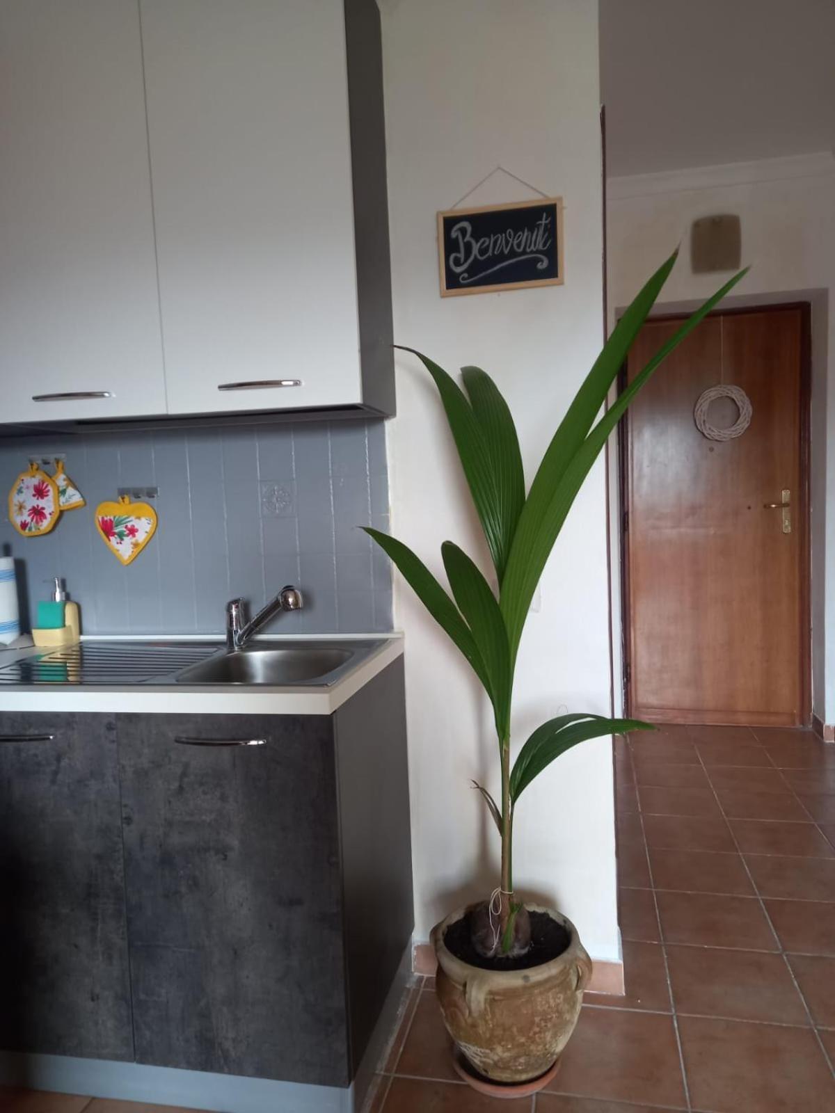 Antica Fonte Appartement Montefranco Buitenkant foto